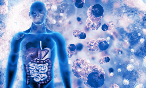 Autofagia y ayuno: Desbloqueando los beneficios de la limpieza celular natural. En busca de un estilo de vida más saludable y equilibrado, cada vez más personas están interesadas en conocer y experimentar los beneficios de la autofagia. Este proceso bioló