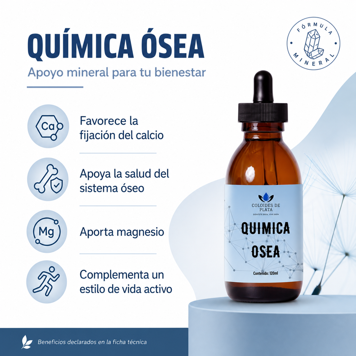 Quimica Osea